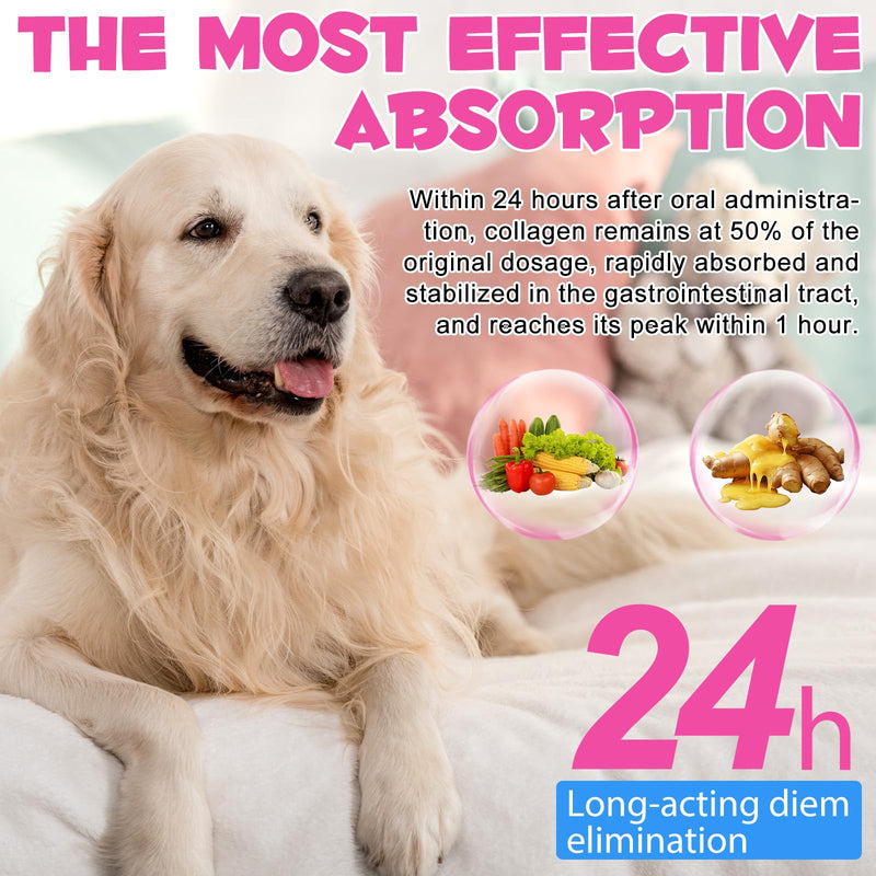 Collagen for Dogs, Dog Collagen Liquid Supplement with Biotin, MSM & Ginger for Joint Support, Skin & Coat Care, Itch Relief & Digestive Comfort - Bacon Flavour, 2 fl.oz