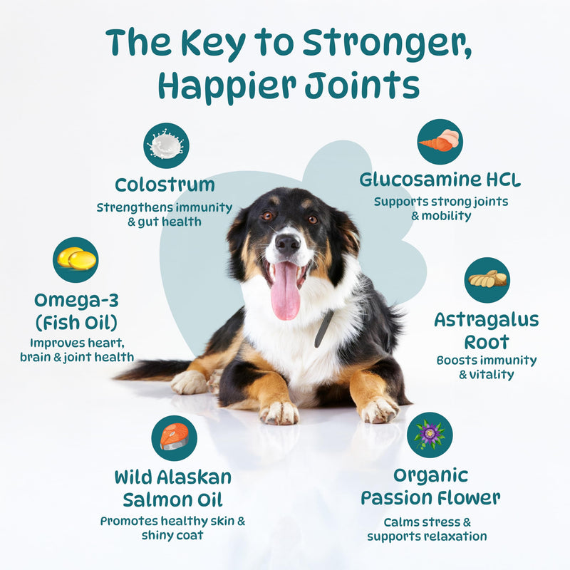 25 In 1 Dog Multivitamin with Glucosamine Chondroitin, Minerals with Omega 3 Fish Oil and Zinc Dog Vitamins and Supplements for Heart, Digestion, Skin & Coat Care, Chicken Flavored 100 Chews