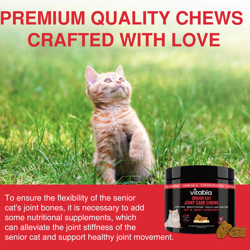 Senior Cat Joint Support Chews – Cat Arthritis, Hip & Joint Supplement with Glucosamine, Chondroitin, MSM, Green-Lipped Mussel, Omega-3 & Hyaluronic Acid – Mobility Relief for Older Cats Treats 80 Count