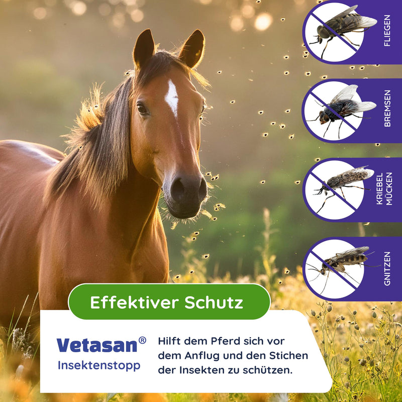 Vetasan Anti Fly Spray Horse 500ml I Insect Spray Horses Against Flies, Horseflies & Mosquitoes I Insect Repellent Spray for Fly Protection Horse Accessories - BeesActive Australia
