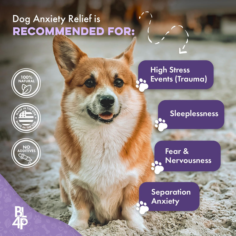 Pet Relax Dog Calming Anxiety Relief, Long-Lasting Dog Relaxants for Stress Relief, Natural Solution for Separation Anxiety, Travel, Thunderstorms, and Fireworks, 400 Odorless, Tasteless Pills Dog - 400 Pills - PawsPlanet Australia