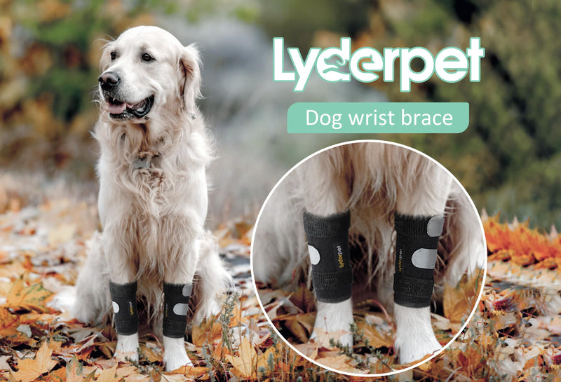 Dog Brace Front Leg Wrist Support, Canine Dog Carpal Brace Splint, Prevents Injuries and Sprains, Protects Carpus Joint Wounds Heals, Helps with Loss of Stability Caused by Arthritis L/XL (Pair)