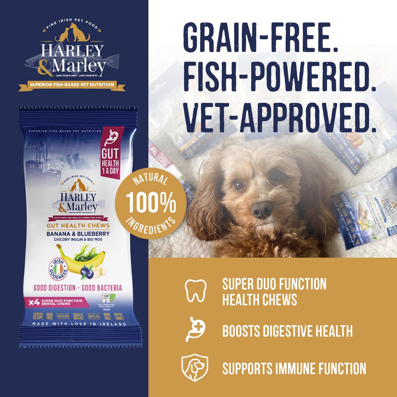 Harley & Marley Gut Duo Function Health Chews for Dogs - Dog Digestive Supplements with Fibre, Prebiotics & Biotics - Banana & Blueberry Recipe - Supports Teeth & Gums - 1pk (4/pk) Pack of 1