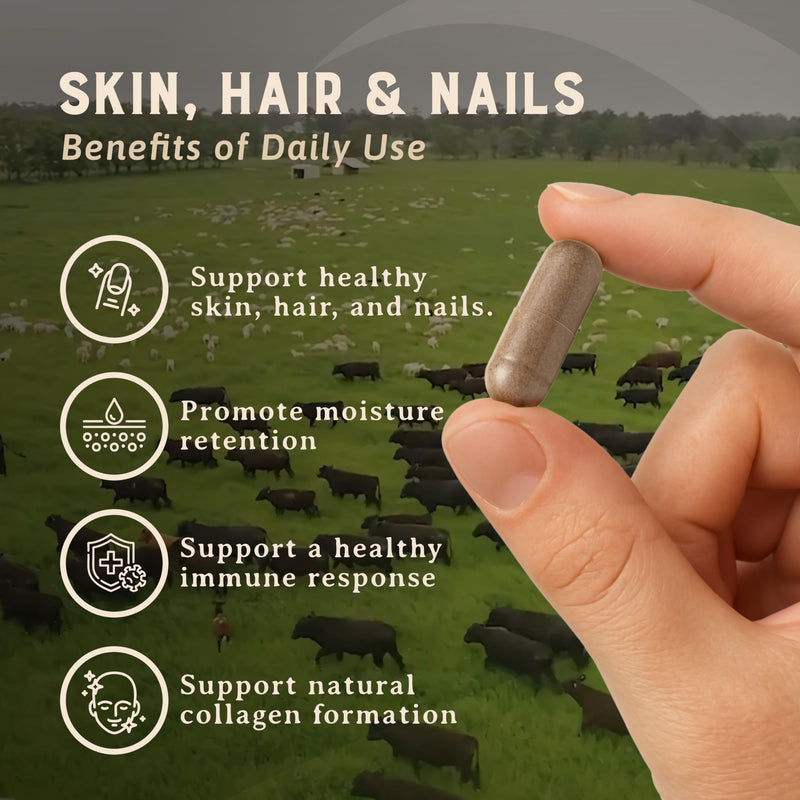 HEART & SOIL Hair Skin & Nails Supplement, 180 Capsules | 100% grass fed & finished from regenerative cattle with cartilage, liver & bone marrow. 3000mg beef organs. Skin, Hair & Nails