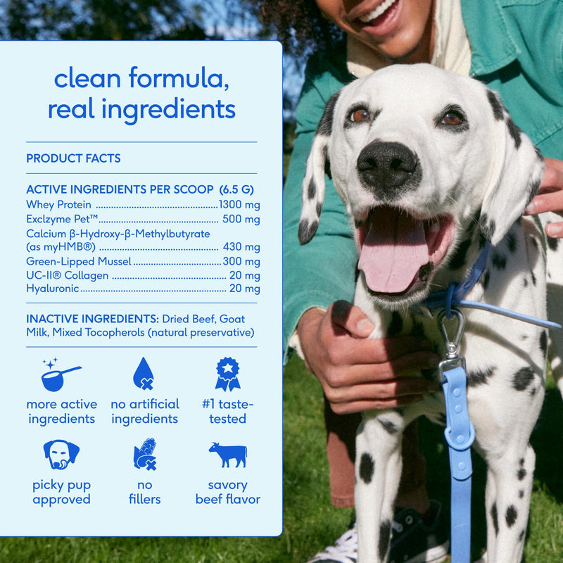 Native Pet Hip & Joint Advanced Care Dog Joint Supplement Powder for Mobility & Movement Support, Joint Supplement for Dogs with HMB, UC-II Collagen, Green Lipped Mussel & Hyaluronic Acid – 30 Scoops 30 Servings