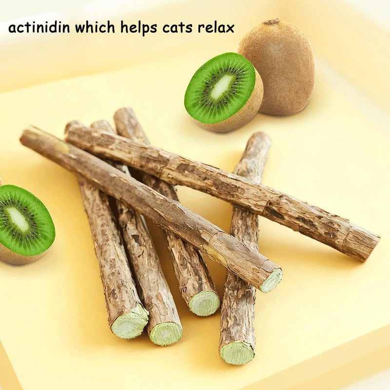 Natural Silvervine Sticks for Cats - 100% Wild Catnip Chew Sticks, Dental Care & Tartar Removal, Digestive Health, Kitten & Adult Cat Enrichment, 15pcs, High Potency Cat Attractant