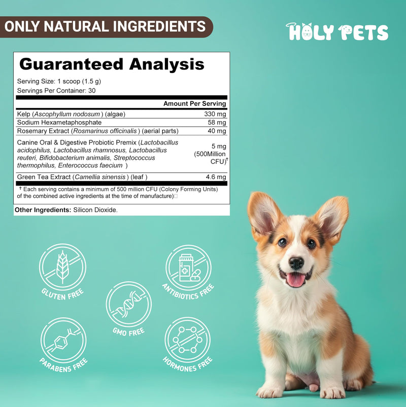 Dog Breath Freshener & Dental Powder for Teeth Cleaning – Plaque Off and Tartar Support for Dogs with Natural Herbal Blend & Postbiotics for Total Canine Oral Care (45g) 45g