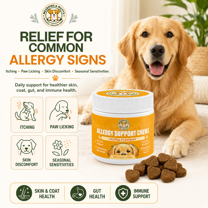 Meadows & Mutts Dog Allergy Relief Chews – Immune Support Dogs Probiotics Soft Chews - Anti Itch & Seasonal Allergy Relief - Probiotics Supplement Support Gut Health, Yeast, Skin & Coat - 100 ct