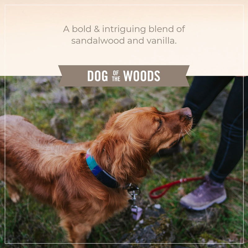 Skout's Honor Pet Deodorizer Spray- Hydrating Daily-Use with Avocado Oil & Omega-3s, Paraben & Sulfate-Free, 97% Natural, 8oz, Dog of The Woods Dog of the Woods - 1-Pack - BeesActive Australia