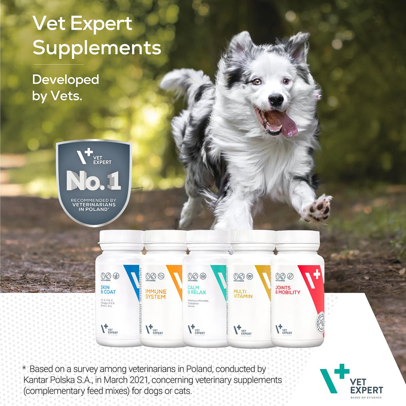 Vet Expert Joints & Mobility Supplement for Dogs and Cats – Supports healthy joints with Glucosamine, Chondroitin, Hyaluronic Acid, Vitamins C & E, and Manganese – 30 Twist-Off Capsules