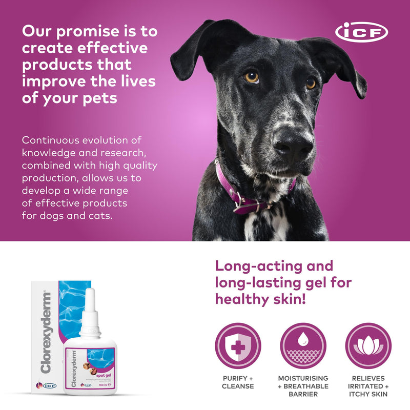 ICF | Clorexyderm Spot Gel | Advanced Cat & Dog Skin Care Gel for Itchy Skin & Wound Relief | Soothes and Moisturizes Irritated Skin | Ideal for Paws, Skin Folds, and Localized Issues 100 ml (Pack of 1)