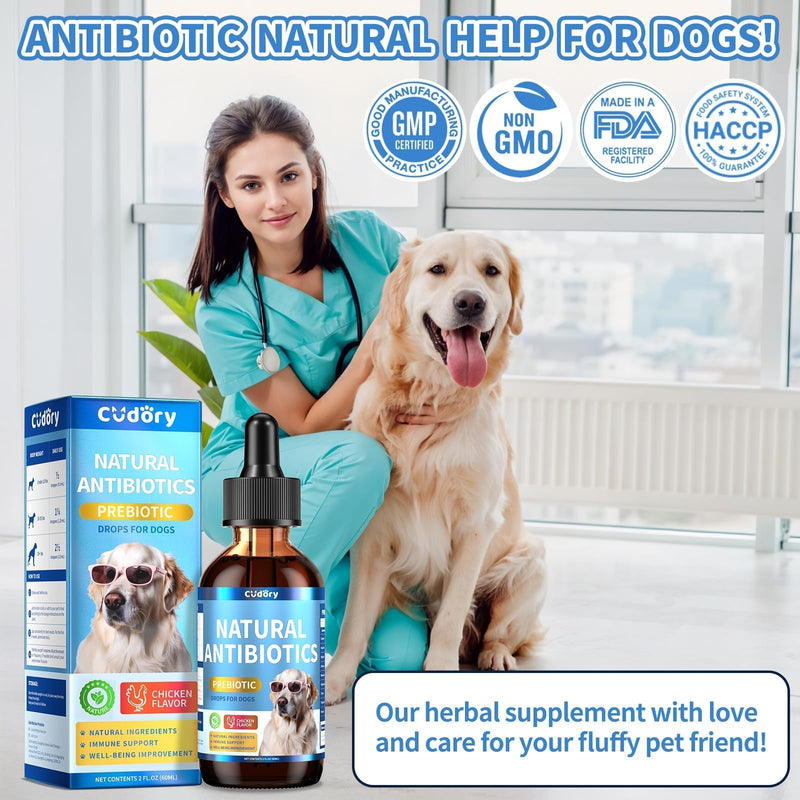 Natural Antibiotics for Dogs, Herbal Dog Antibiotics Supplement with Prebiotics for Dog Allergy Itch Relief Cough Immune Support Dog UTI Comfort for All Breeds and Ages-Chicken Flavor | 2 fl oz