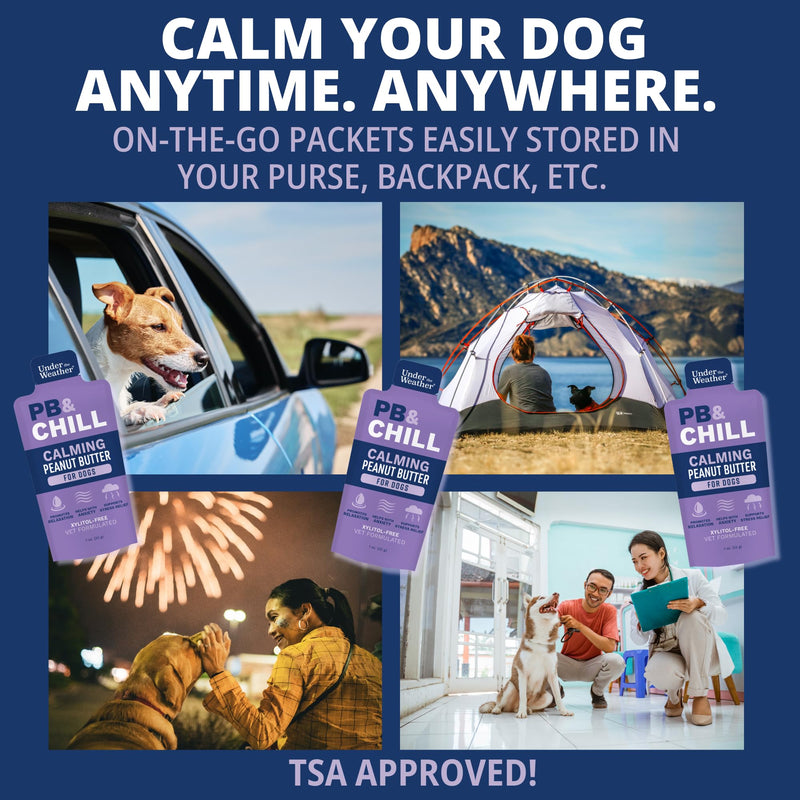 Under the Weather Pet PB & CHILL Dog Peanut Butter Dog Treats | Vet-Formulated 100% Natural and Tasty Calming Treats for Dogs | Promotes Calmness and Relieves Anxiety for Dogs | 1 Oz - Pack of 6 - PawsPlanet Australia