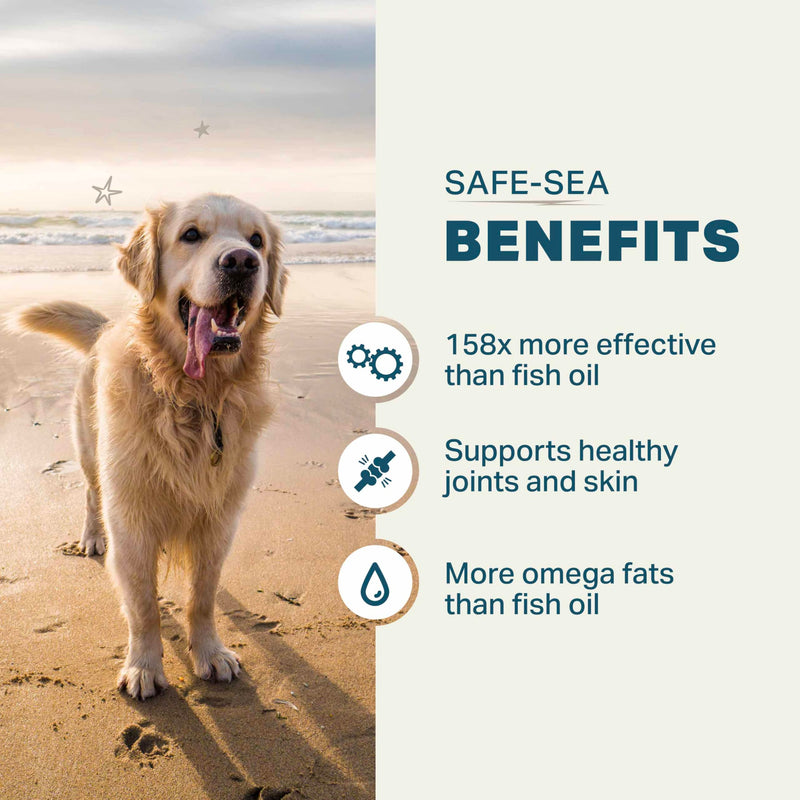 Protect + Safe-Sea