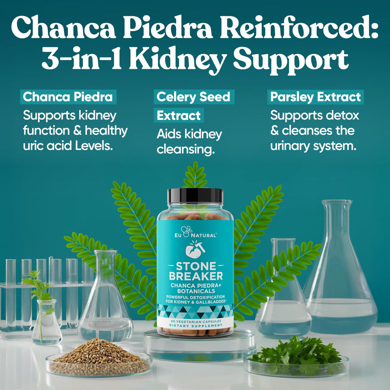 Chanca Piedra Stone Breaker - The Original Stone Breaking Formula with Celery Seed & Parsley - Supports Kidney, Gallbladder & Urinary Tract Cleansing to Help Flush Impurities - 60 Vegetarian Capsules 60 Count (Pack of 1) - BeesActive Australia