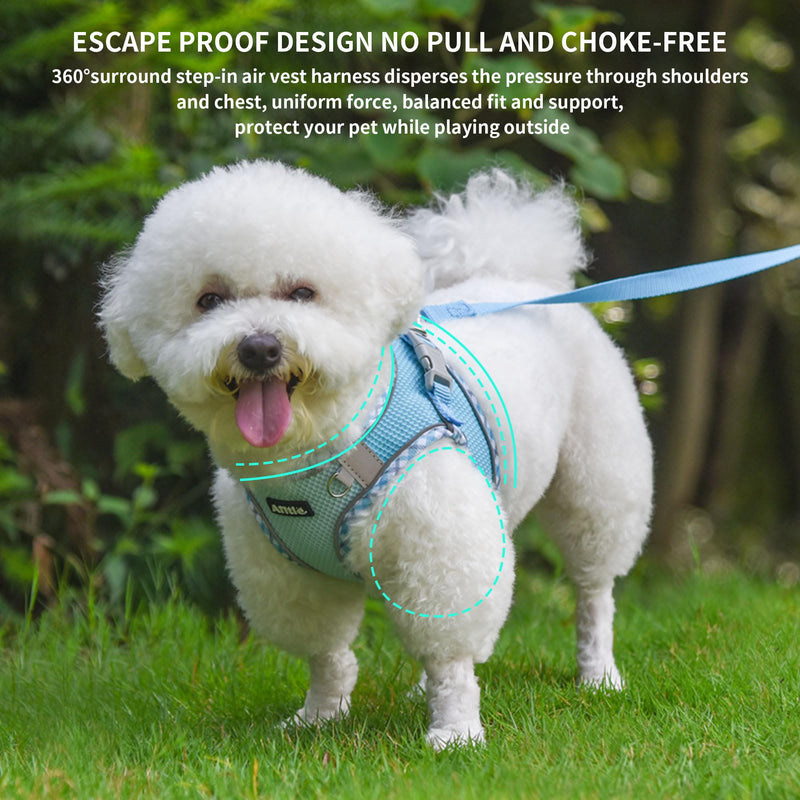 AIITLE Durable Dog Harness and Leash Set for Walking, Step in Vest Harness, Reflective Bands, Soft Breathable Pet Supplies, for Extra Small Dogs and House Cats Blue XXXS XXXS(Chest: 8.5 - 10") - BeesActive Australia