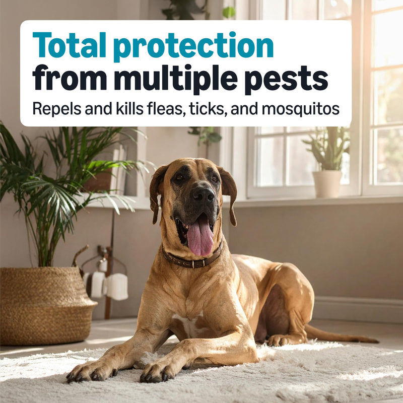 Amazon Basics Preventative Flea, Tick & Mosquito Topical Treatment for X-Large Dogs (Over 55 pounds), Kills Fleas, Long-Lasting, 6 Count, Packaging May Vary