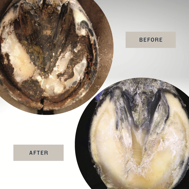 Hoof Treatment Spray