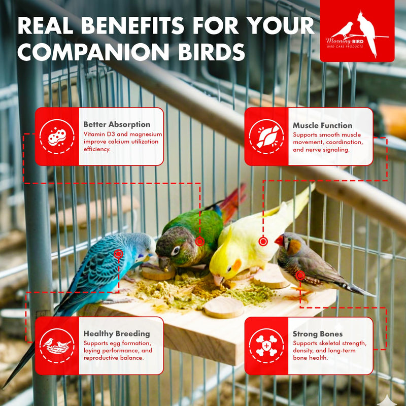 Morning Bird Calcium Plus Powder for Birds 4.5 oz – Calcium Supplement with Essential Vitamins & Minerals – Supports Bone Health, Muscle Function & Digestive Balance – Easy-to-Mix Calcium Formula