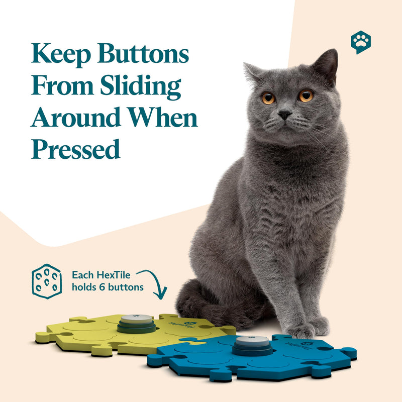 FluentPet Basic Tester Kit - Set of 2 Basic Buttons with Batteries Included for Dogs & Cats and 1 HexTile - Customizable Cat & Dog Training Buttons for Communication - Talking Button Gift Set - BeesActive Australia