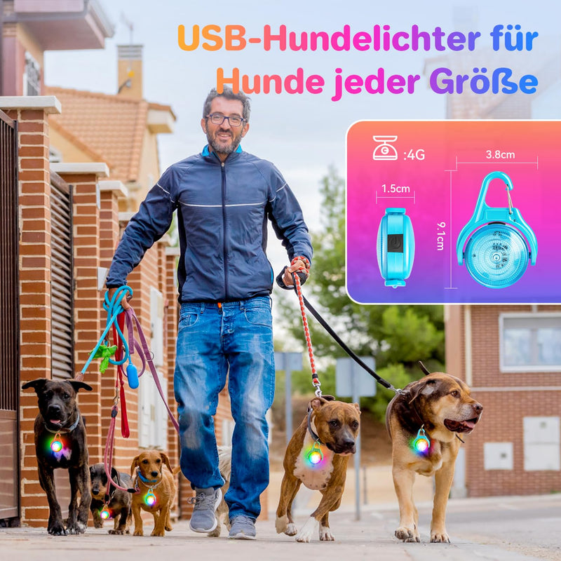 Dokkita light pendant dog rechargeable (RGB color changing dog light and 4 flashing modes), dog light LED rechargeable, LED flashing light school bag safety light USB rechargeable blue - BeesActive Australia