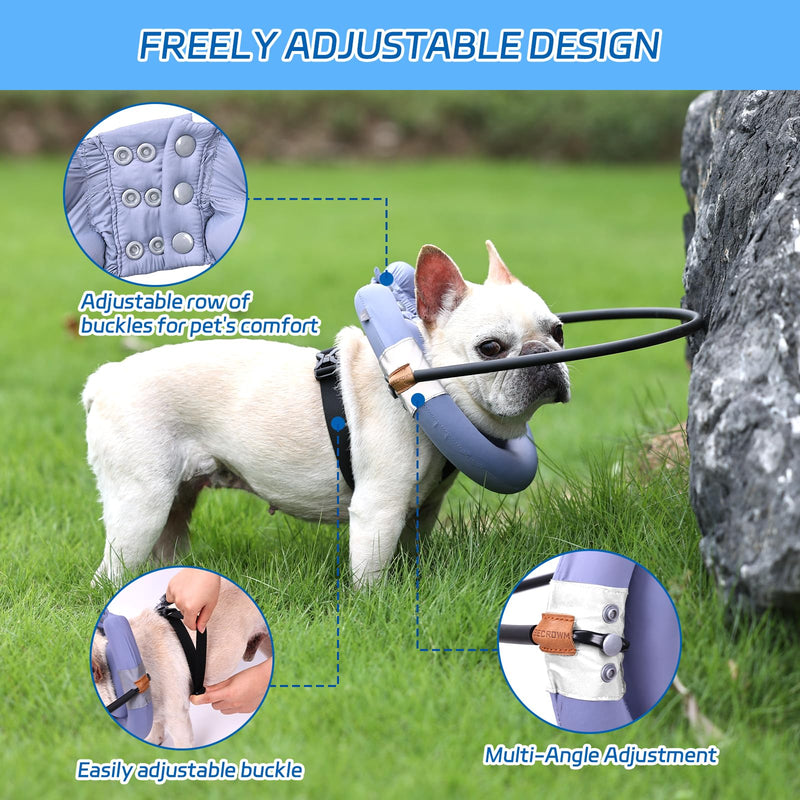 Blind Dog Halo,Blind Dog Harness, Lightweight Halo for Dogs&Cats, Adjustable Guiding Device Protects Pets from Collision, Builds Confidence, Purple (S) Small - BeesActive Australia