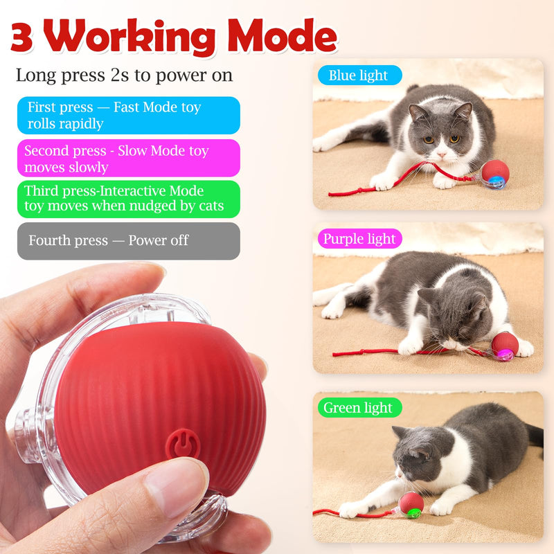Interactive Cat Toy - Cat Toys for Indoor Cats Smart Silicone Rolling Ball with Tail,Bird Sound,Obstacle Avoidance and Motion Activated,Kitten Puzzle Toys for Bored Indoor Adult Cats & Dogs (Red) Red - BeesActive Australia