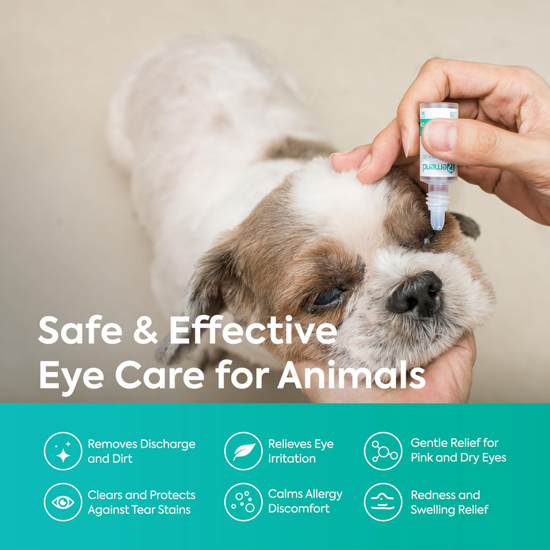 Remend Corneal Gel for Dogs and Cats (by Domes Pharma) - Pet Eye Drops for Dry Eyes, Eye Infection, Allergies & Cornea Recovery, Gentle Eye Care Treatment - 3 ml