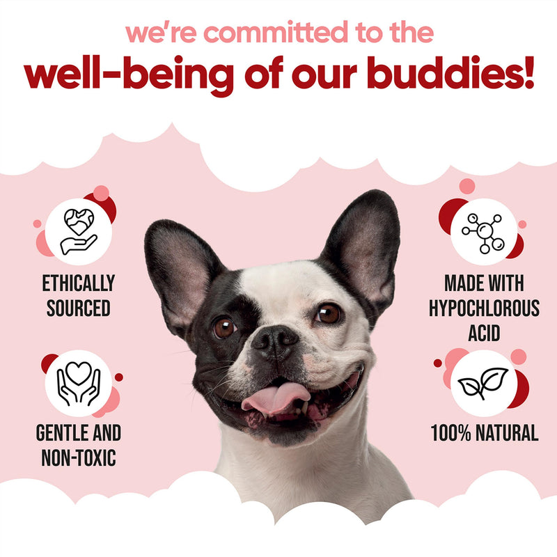 Buddycare Pet Antiseptic Spray (200ml) Dog Antiseptic Spray & Cat Antiseptic Spray Effective Dog Wound Spray, Suitable for All Pets, Pet Wound Care Solution 200ml (Pack of 1)