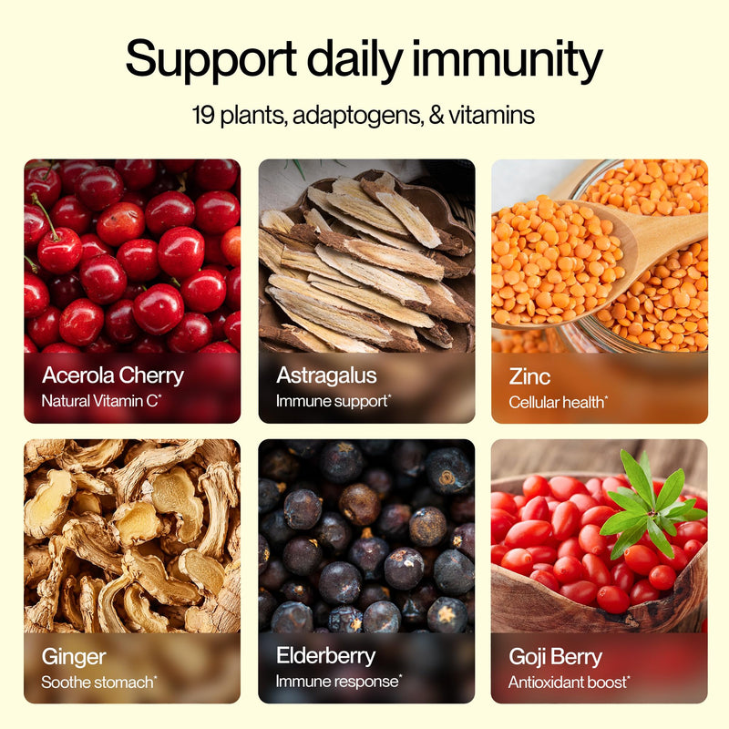 Feel Goods Immunity Icon, Vitamin C Immune Support Powder Packets, 15 Count | Immunity Plus, 500mg Vitamin C, Elderberry, Ginger, Turmeric, Vitamins for Immune Health, Sugar-Free, Caffeine-Free Drink Mix 15 Servings (Pack of 15) Peach Lemonade