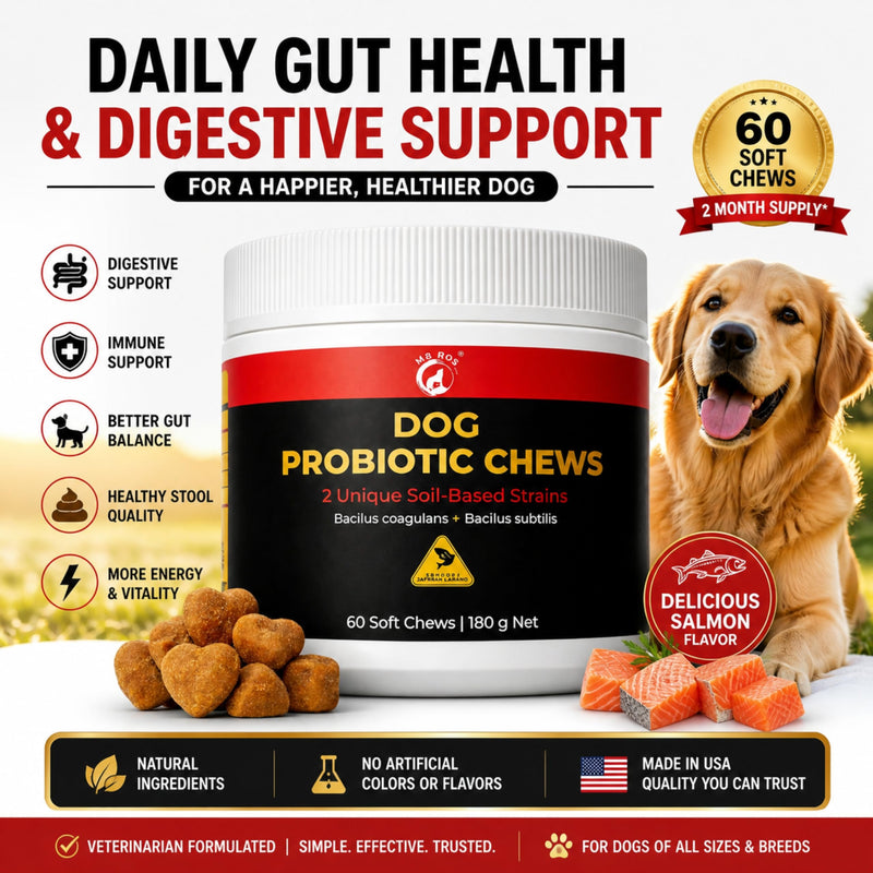 Dog Probiotic Chews – Gut Health & Digestive Support for Dogs – 2 Unique Soil-Based Probiotic Strains – Vet Formulated Salmon Soft Chews – 60 Chews