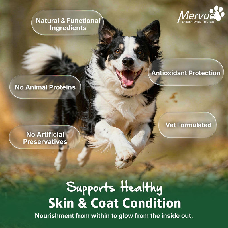 Mervue Skin and Coat Supplement for Dogs – Small Dog Omega 3 Supplement in Gel w/Zinc & Biotin to Support Gut Health – Tasty Daily Dog Multivitamin Packs for Normal & Sensitive Skins (14 x 5ml) Small Dog (14 x 5ml)