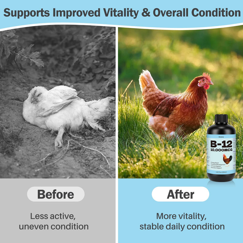 Vitamin B12 Liquid for Poultry, 10000 MCG Nutritional Supplement for Chickens, Supports Daily Vitality & Development, Liquid Vitamin Feed Additive for Hens, Roosters, Ducks, Geese & Turkeys