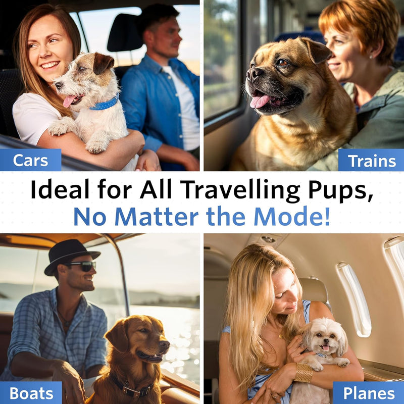 Anti-Motion Sickness & Relief for Dogs, MEDIUM 16 - 50lbs Medium Breed Dogs - BeesActive Australia