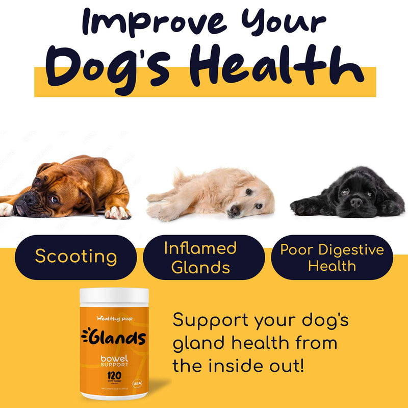 Glands Bowel Support - 120 Delicious Scoot Soft Chews for Scooting, Healthy Anal Glands, and Digestive Health - Made with Pumpkin Powder for Dogs - PawsPlanet Australia