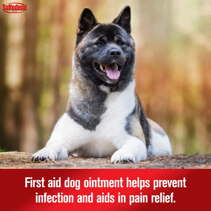 DOGSWELL Remedy + Recovery Hydrocortisone Lotion for Dogs (4 oz.) and Farnam Sulfodene Dog Wound Care Ointment (2 oz.) - BeesActive Australia