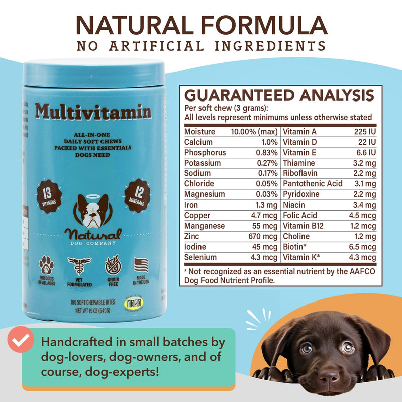 Natural Dog Company 25-in-1 Multivitamin for Dogs – Vet-Formulated Soft Chews for Puppies, Adults & Seniors, Supports Joints, Skin, Coat, Immune & Heart Health, NASC Certified, 180 Count
