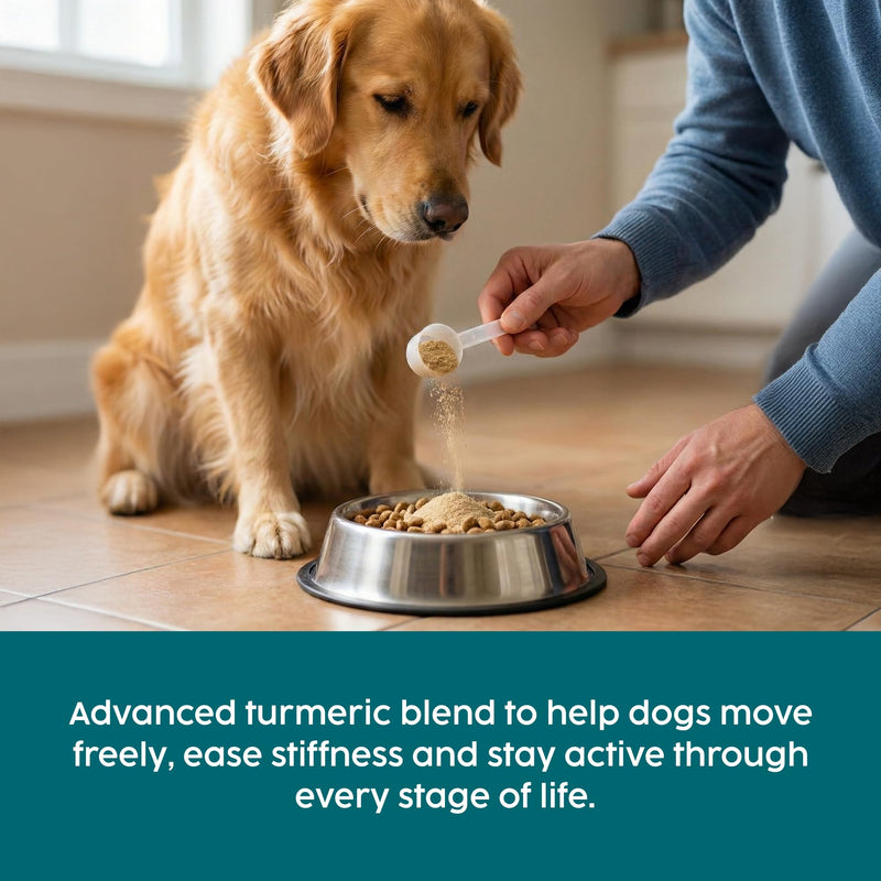 Turmeric Powder for Dogs 100g – Natural Hip and Joint Supplement for Dogs with Ginger & Black Pepper, Daily Mobility, Joint Health & Inflammation Support