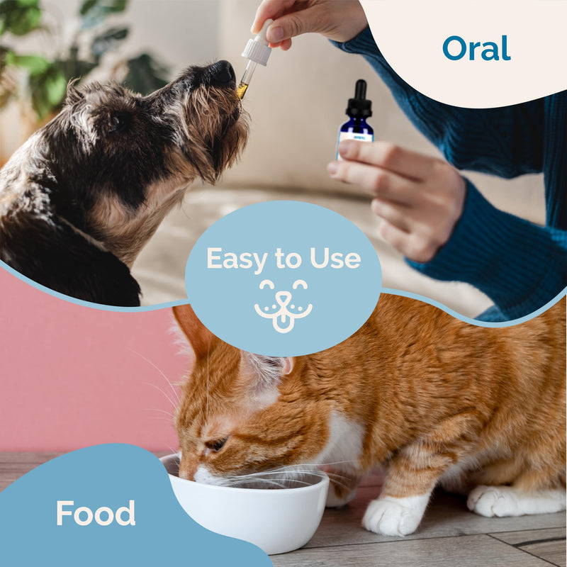 PranaPets Intestinal Defense Supplement for Dogs & Cats | Naturally Helps Digestive Issues in Pets | Herbal Formula 1 Pack - PawsPlanet Australia