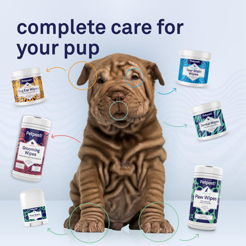 Petpost | Paw Balm for Dogs - Nourishing Cream Soothes Itchy, Dry Dog Paws with Moisturizing Ingredients - Organic Coconut Oil, Jojoba Oil, and Shea Butter 0.64 oz.