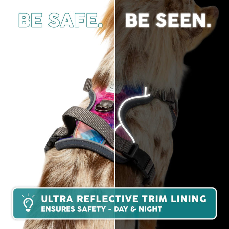 Embark Urban Dog Harness, No-Pull Reflective Trim Dog Harness for Small, Medium & Large Dogs - Military Grade Nylon, 2 Leash Clips & Gel Lined Handle. Soft & Padded Puppy Dog Vest for Any Breed M (Chest: 24-28") Aurora - BeesActive Australia