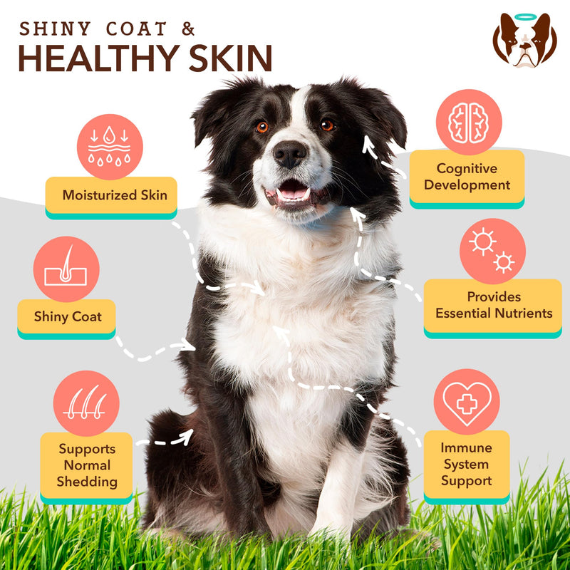 Natural Dog Company Skin & Coat Essentials Bundle, Skin & Coat Supplement + Skin Soother Healing Balm, Promotes Healthy Skin & Coat and Relieves Dry, Itchy Skin - PawsPlanet Australia