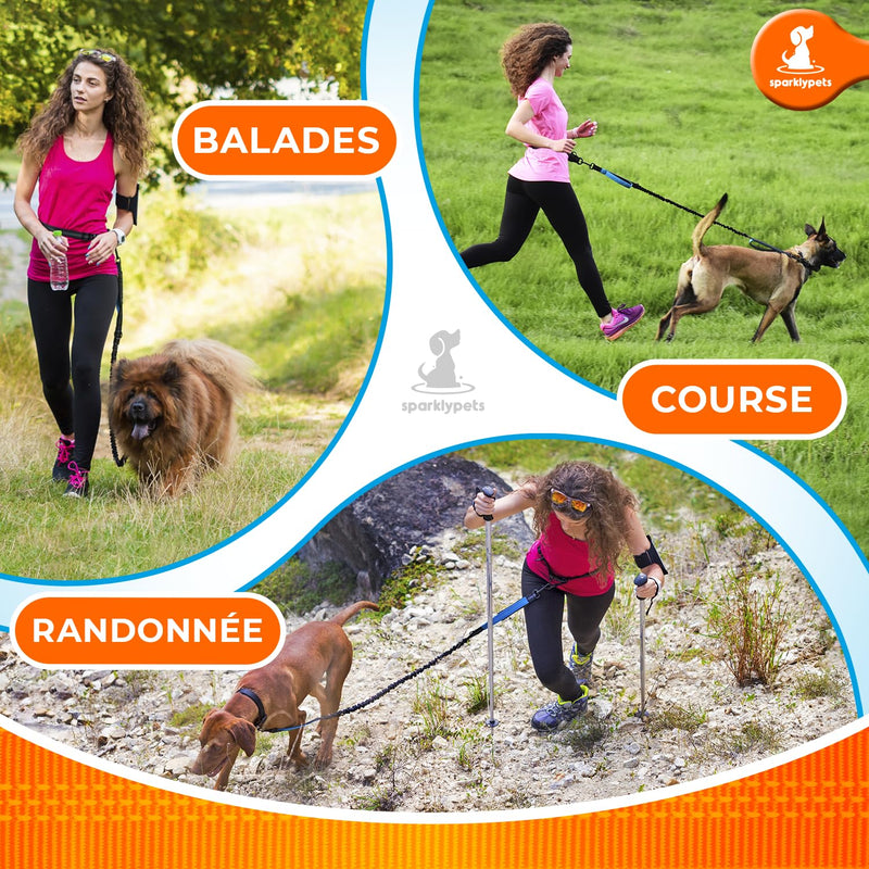SparklyPets - Hands Free Dog Leash with Reflective Stitches - Waist Leash for Dog Walking, Hiking, Training, Jogging, Canicross, Running - for Medium & Large Breeds Blue 1 dog M/L