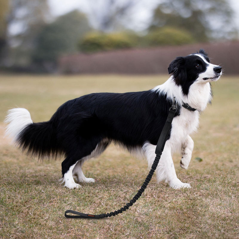 EXCELLENT ELITE SPANKER Military Bungee Dog Leash Elastic Leads Rope with 2 Padded Control Handle for Medium and Small Dogs (Black) Black - BeesActive Australia