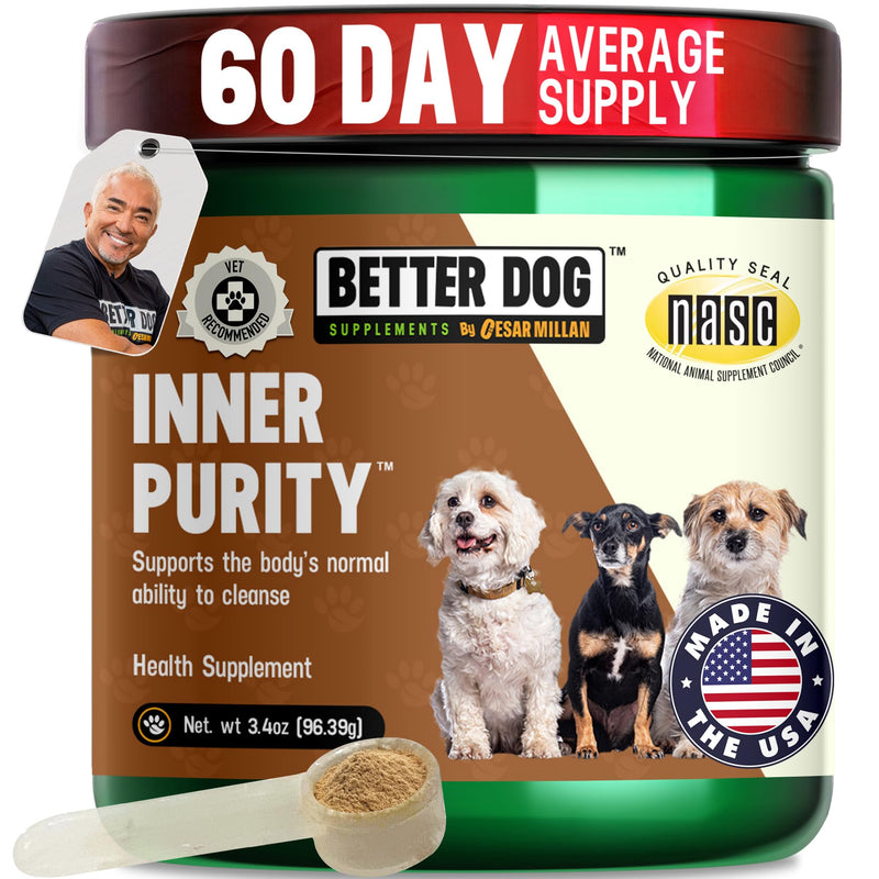 Better Dog Supplements by Cesar Millan® Inner Purity – Natural Digestive, Dewormer & Gut Health Powder for Dogs – Internal Cleanliness, Detox & Bowel Movement Support – 3.4oz, (60-Day Supply)