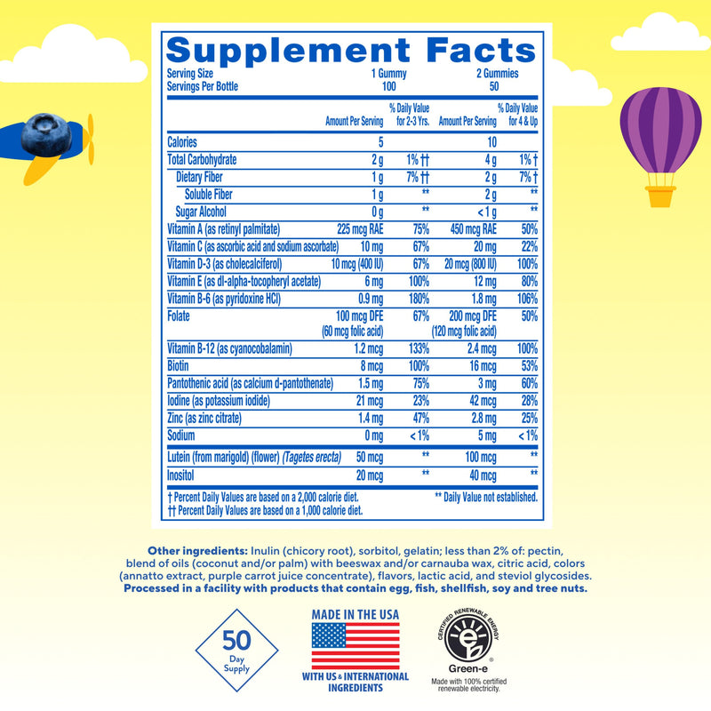 L'il Critters Kids Multivitamin Gummies | 100 Count | Gummy with Vitamins A, C, D, E | Assorted Fruit Flavors | No Sugar Added | Gluten-Free Children's Supplement 100 Count (Pack of 1)