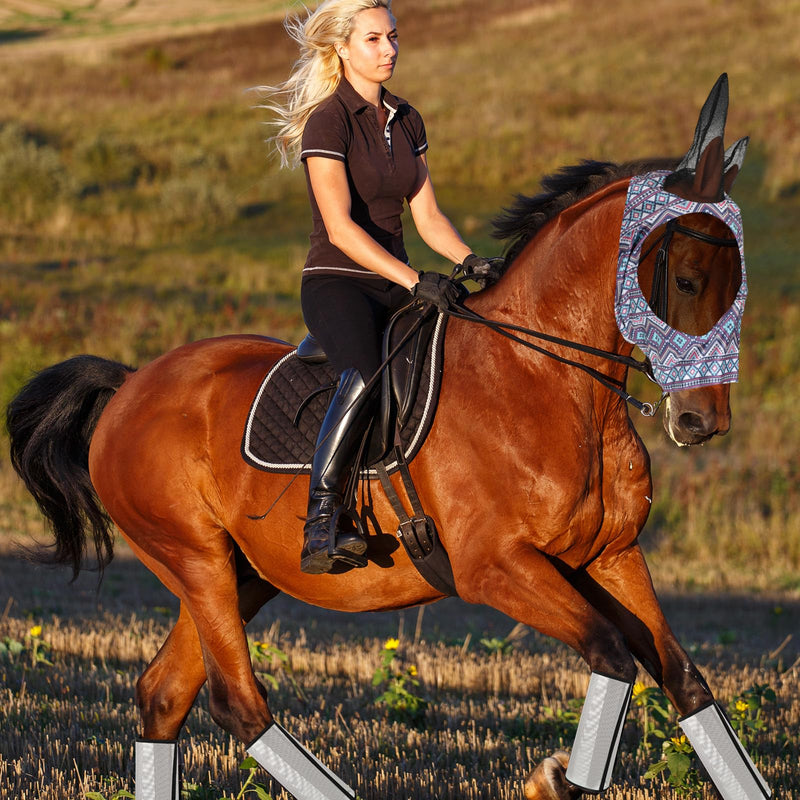 10 Pcs Horse Mask Boots for Horses Set Horse Supplies 8 Pcs Breathable Horse Leg Wraps 2 Pcs Comfort Elasticity Mask for Preventing Scratches Reduce Stomping Leg Fatigue Medium - BeesActive Australia