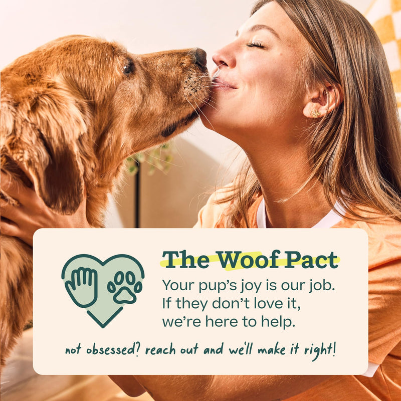 Woof Doggy Dental Pupsicle Mix - Dog Teeth Cleaning Powder for the Pupsicle - Long Lasting Postbiotic Dental Enzyme Mix to Support Oral Health for Dogs Dental Mix