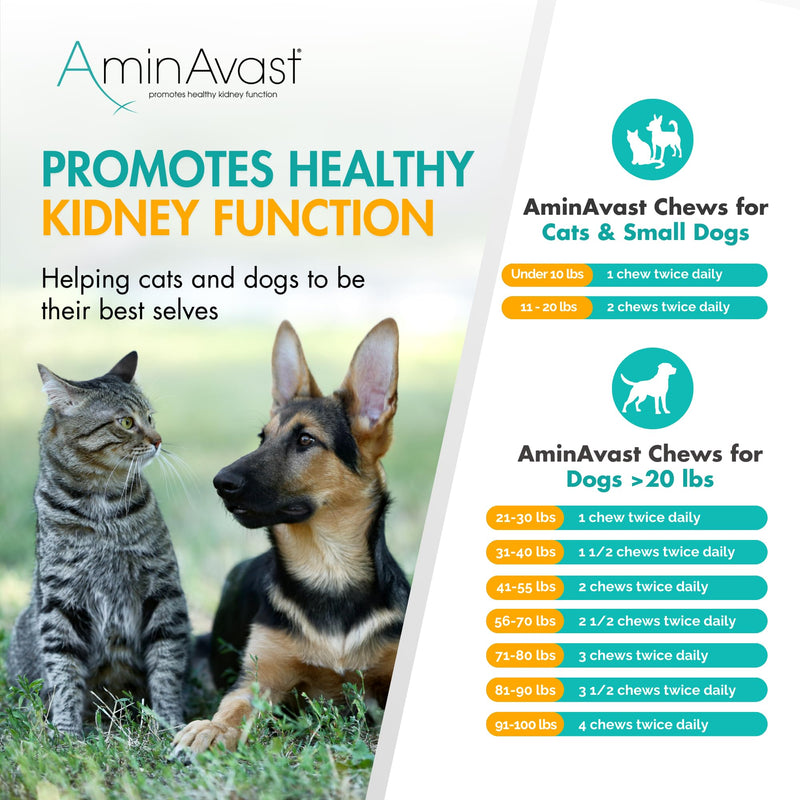 AminAvast Small Dogs & Cat Kidney Support - Promotes Healthy Kidney Support in Cats & Small Dogs - 300mg (60 Chews) 300mg (60 Chews)
