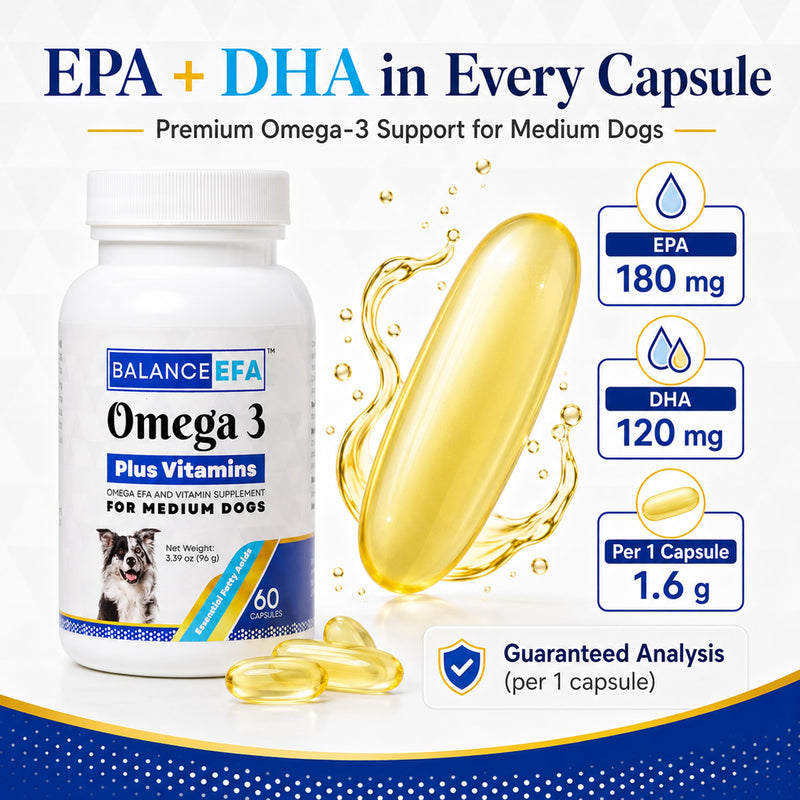 BalanceEFA Omega 3 Fish Oil for Dogs, Skin & Coat, Medium Breed 60 Ct | Fish Oil Capsules with EPA & DHA, Vitamins A, D3 & E, Supports Healthy Skin, Coat & Joints, Vet Formulated Medium - 60 count